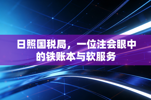日照国税局，一位注会眼中的铁账本与软服务