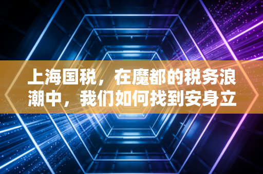 上海国税,在魔都的税务浪潮中,我们如何找到安身立命的锚?