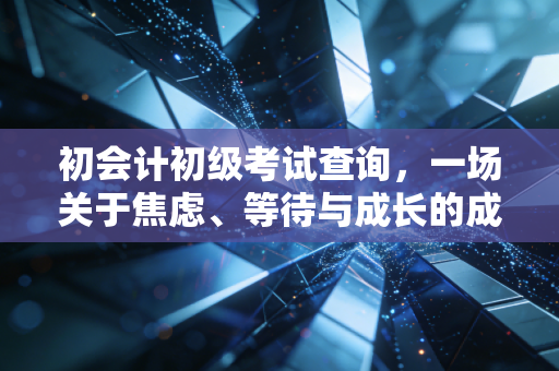 初会计初级考试查询,一场关于焦虑、等待与成长的成人礼