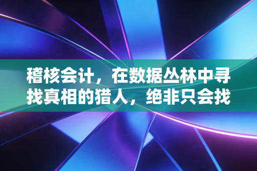 稽核会计，在数据丛林中寻找真相的猎人，绝非只会找茬的恶人