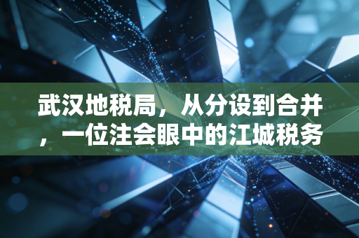 武汉地税局，从分设到合并，一位注会眼中的江城税务变迁与合规实战
