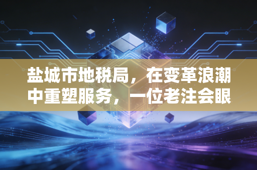 盐城市地税局，在变革浪潮中重塑服务，一位老注会眼中的税收温情与力量