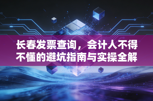 长春发票查询，会计人不得不懂的避坑指南与实操全解