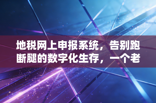 地税网上申报系统，告别跑断腿的数字化生存，一个老会计眼中的变迁与焦虑