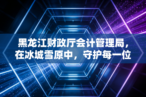 黑龙江财政厅会计管理局,在冰城雪原中,守护每一位会计人的职业尊严与梦想
