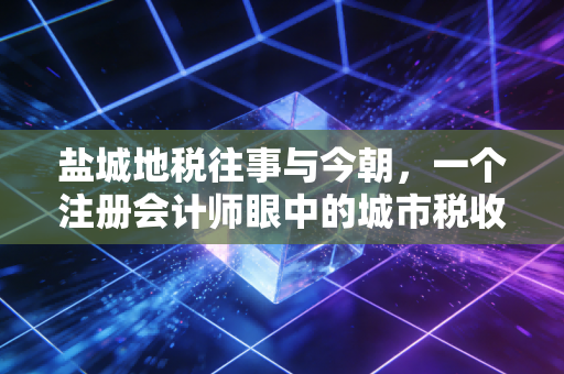 盐城地税往事与今朝,一个注册会计师眼中的城市税收变迁与营商环境的重塑