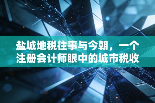 盐城地税往事与今朝，一个注册会计师眼中的城市税收变迁与营商环境的重塑
