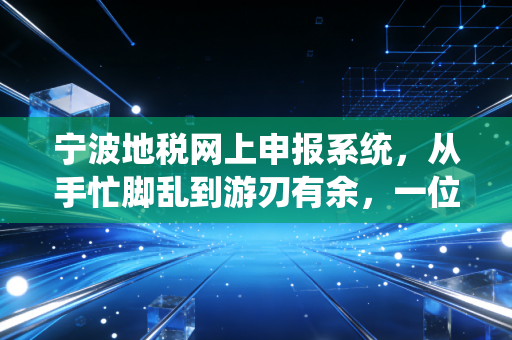 宁波地税网上申报系统,从手忙脚乱到游刃有余,一位老会计的实战心得与避坑指南