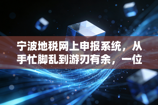 宁波地税网上申报系统，从手忙脚乱到游刃有余，一位老会计的实战心得与避坑指南