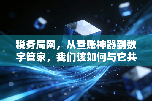 税务局网，从查账神器到数字管家，我们该如何与它共舞？