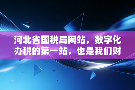 河北省国税局网站,数字化办税的第一站,也是我们财务人的老朋友