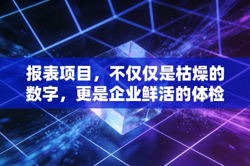 报表项目，不仅仅是枯燥的数字，更是企业鲜活的体检报告