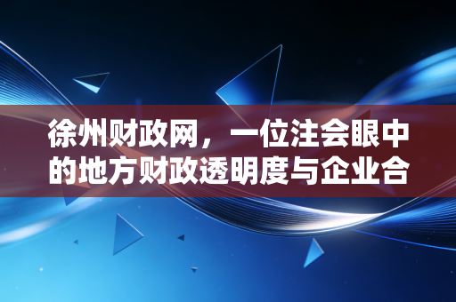 徐州财政网，一位注会眼中的地方财政透明度与企业合规生存指南