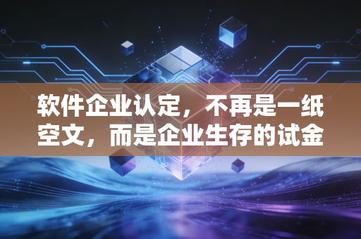 软件企业认定,不再是一纸空文,而是企业生存的试金石