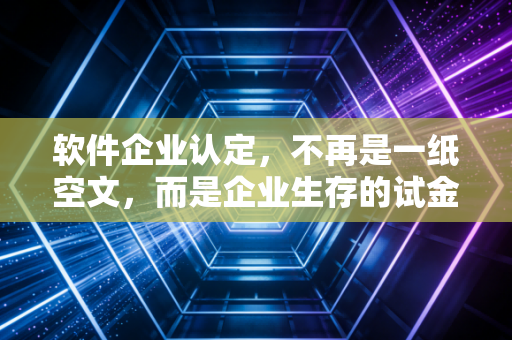 软件企业认定，不再是一纸空文，而是企业生存的试金石