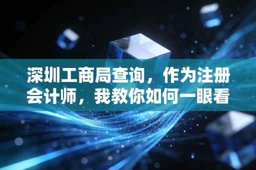深圳工商局查询,作为注册会计师,我教你如何一眼看穿一家公司的底裤