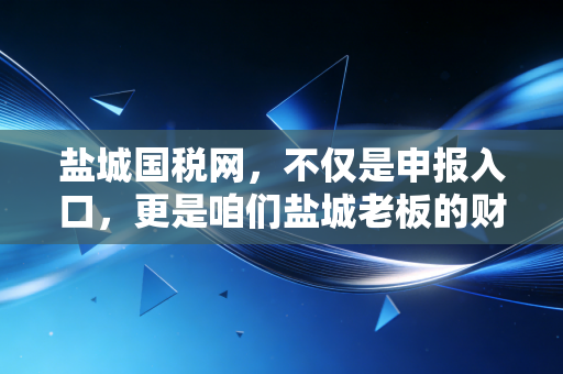 盐城国税网，不仅是申报入口，更是咱们盐城老板的财税智囊团——一位注会眼中的数字化变迁