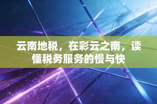 云南地税，在彩云之南，读懂税务服务的慢与快