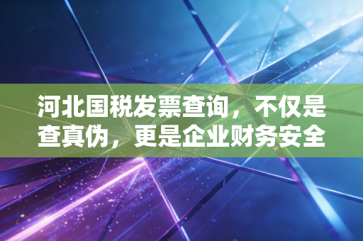 河北国税发票查询,不仅是查真伪,更是企业财务安全的第一道防线