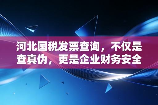河北国税发票查询，不仅是查真伪，更是企业财务安全的第一道防线