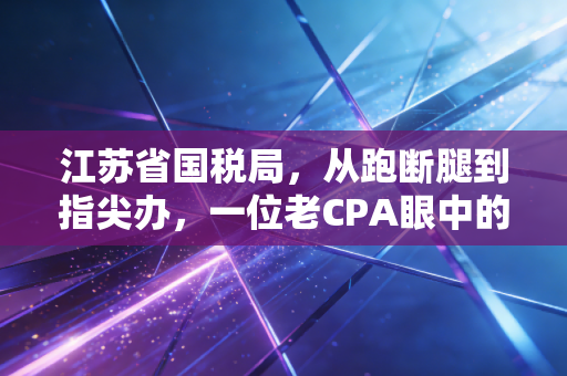 江苏省国税局,从跑断腿到指尖办,一位老CPA眼中的江苏税务变迁史