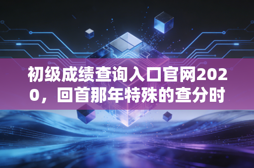 初级成绩查询入口官网2020,回首那年特殊的查分时刻,聊聊会计人的进阶之路