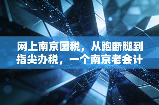 网上南京国税，从跑断腿到指尖办税，一个南京老会计的数字化生存实录