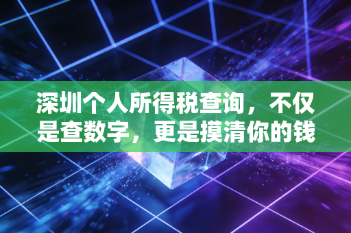 深圳个人所得税查询，不仅是查数字，更是摸清你的钱袋子底牌