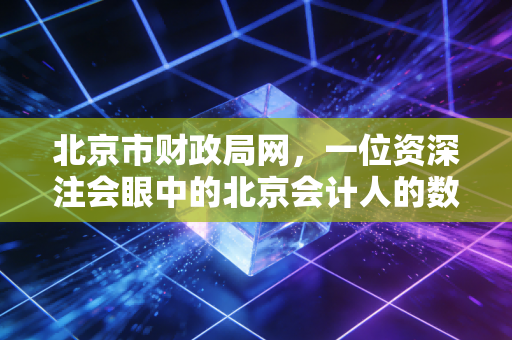 北京市财政局网，一位资深注会眼中的北京会计人的数字家园与实战指南