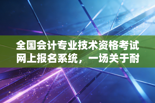 全国会计专业技术资格考试网上报名系统,一场关于耐心、细节与梦想的数字战役