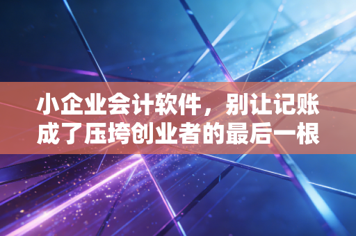 小企业会计软件，别让记账成了压垮创业者的最后一根稻草