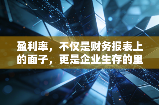 盈利率,不仅是财务报表上的面子,更是企业生存的里子