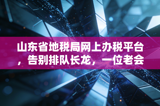 山东省地税局网上办税平台，告别排队长龙，一位老会计眼中的数字化办税变迁与实操心得
