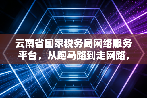 云南省国家税务局网络服务平台,从跑马路到走网路,一位注会眼中的税务数字化变革