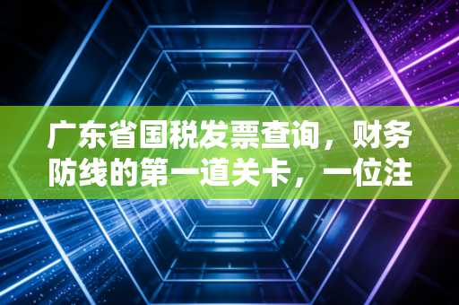 广东省国税发票查询,财务防线的第一道关卡,一位注会眼中的实操与心法