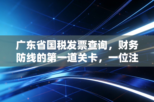 广东省国税发票查询,财务防线的第一道关卡,一位注会眼中的实操与心法