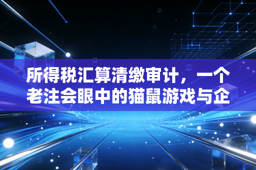 所得税汇算清缴审计，一个老注会眼中的猫鼠游戏与企业生存法则