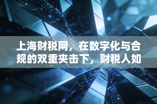 上海财税网，在数字化与合规的双重夹击下，财税人如何找到破局之路？