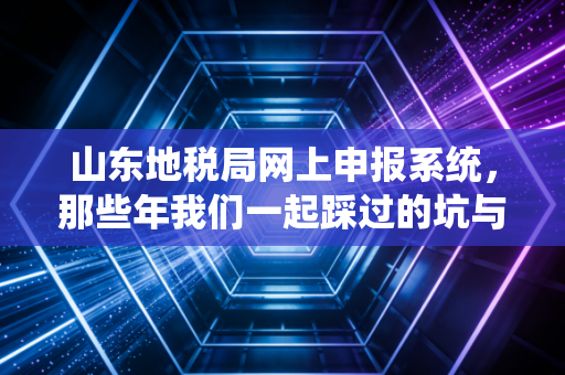 山东地税局网上申报系统,那些年我们一起踩过的坑与趟过的河