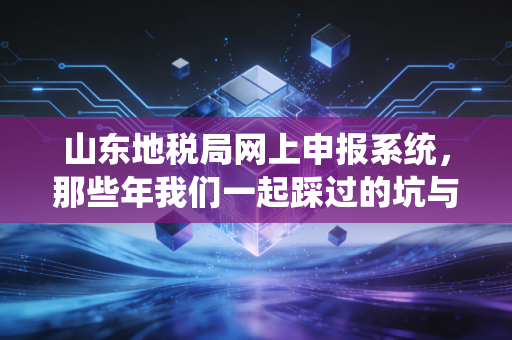 山东地税局网上申报系统，那些年我们一起踩过的坑与趟过的河