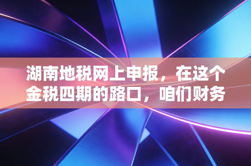 湖南地税网上申报，在这个金税四期的路口，咱们财务人该怎么走？