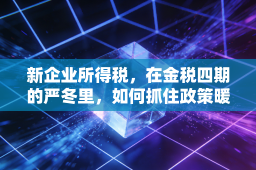 新企业所得税,在金税四期的严冬里,如何抓住政策暖阳的生存指南