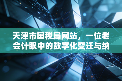 天津市国税局网站，一位老会计眼中的数字化变迁与纳税服务升级