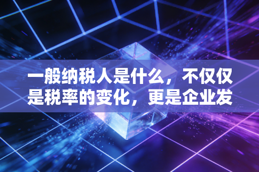 一般纳税人是什么，不仅仅是税率的变化，更是企业发展的分水岭