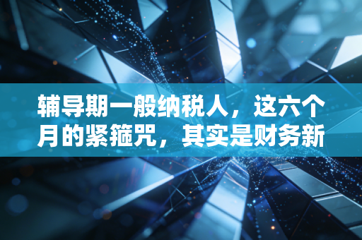 辅导期一般纳税人,这六个月的紧箍咒,其实是财务新人的最好练兵场