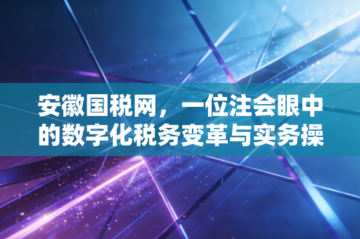 安徽国税网，一位注会眼中的数字化税务变革与实务操作