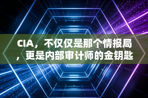 CIA,不仅仅是那个情报局,更是内部审计师的金钥匙