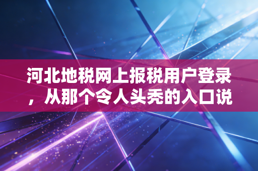 河北地税网上报税用户登录,从那个令人头秃的入口说起,聊聊会计人的数字长征
