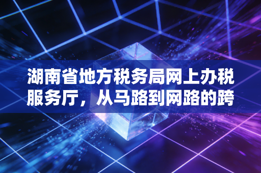 湖南省地方税务局网上办税服务厅,从马路到网路的跨越与税务数字化思考