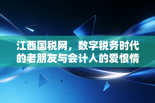 江西国税网,数字税务时代的老朋友与会计人的爱恨情仇